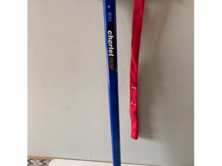 Charlet Moser 80 cm Ice Axe For Discount