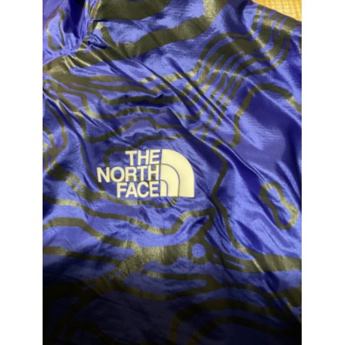 The North Face Hoodie Men s L For Sale