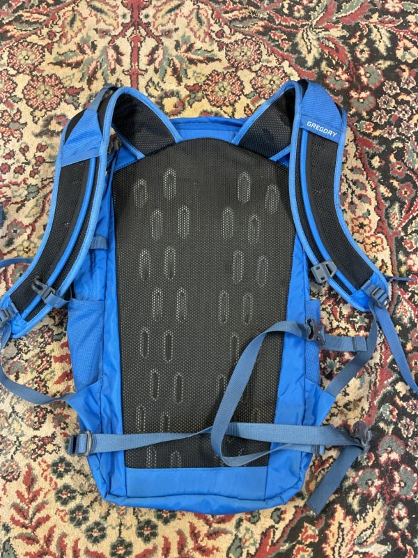 Gregory Inertia 15L h2o Daypack Cheap