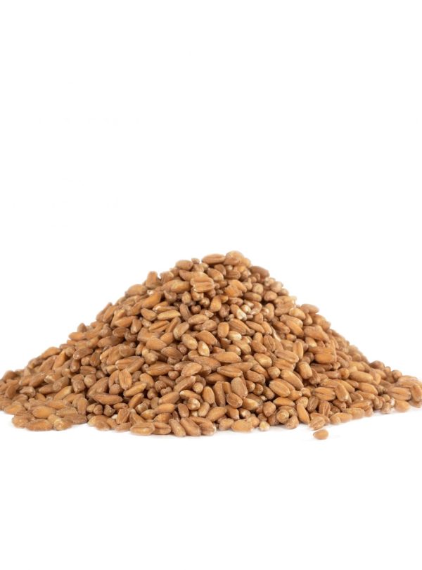 Bob s Red Mill Farro Online Hot Sale