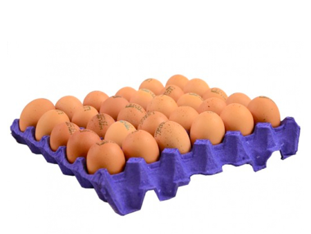 Brown Eggs Medium Size 30Pcs Cheap