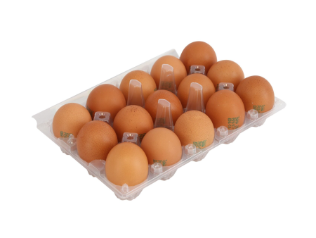 Brown Eggs Medium Size 15Pcs Hot on Sale