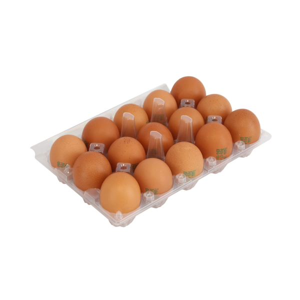 Brown Eggs Medium Size 15Pcs Hot on Sale