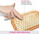 Air Cushion Hair Brush Wooden Comb Hot on Sale